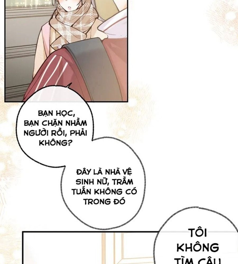 Trong Giấc Mộng Của Tôi: Chapter 71