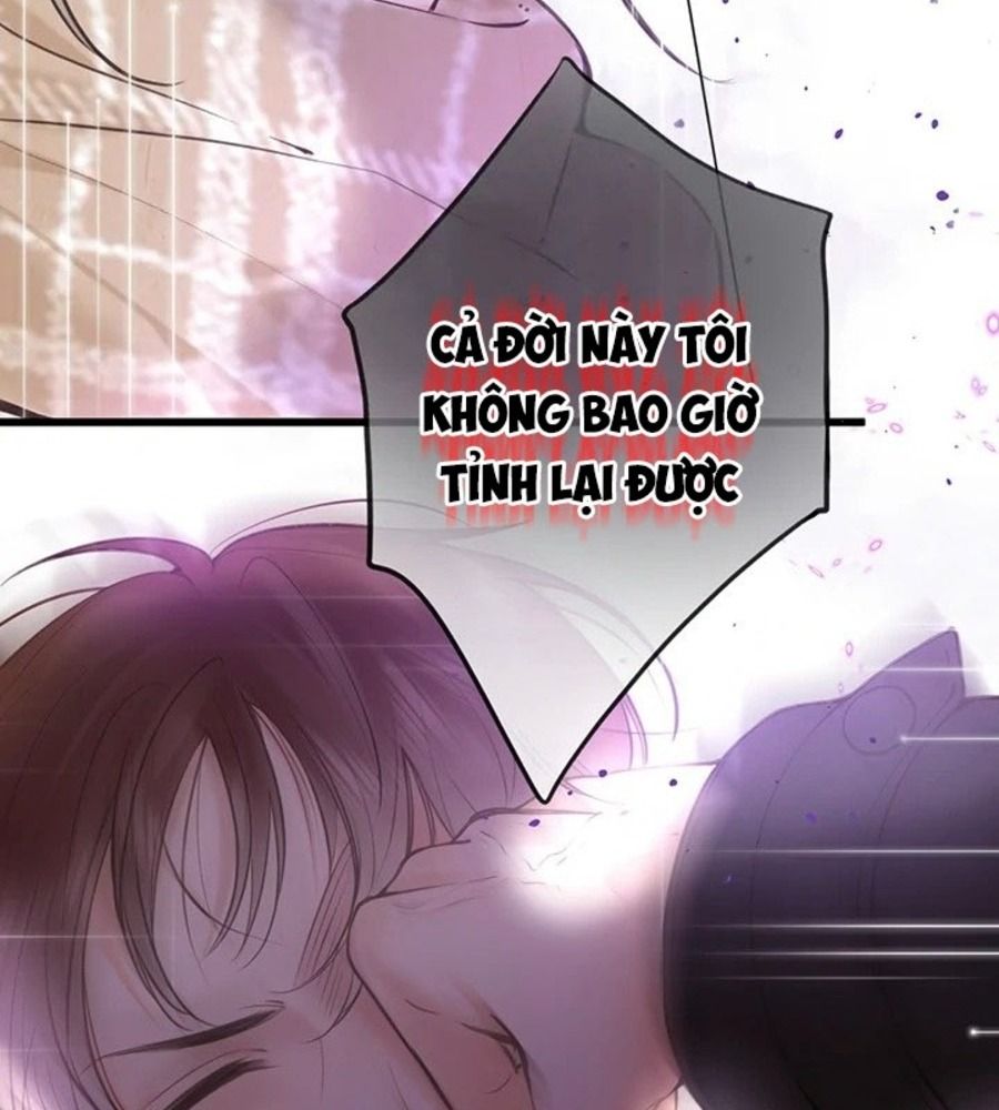 Trong Giấc Mộng Của Tôi: Chapter 71