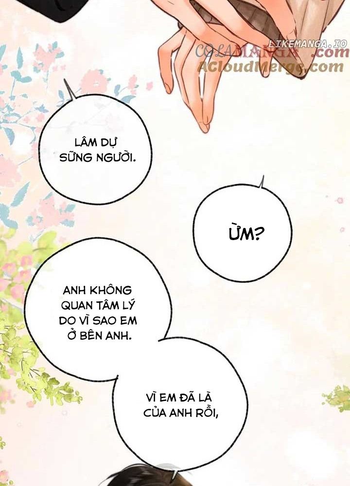 Trong Giấc Mộng Của Tôi: Chapter 78