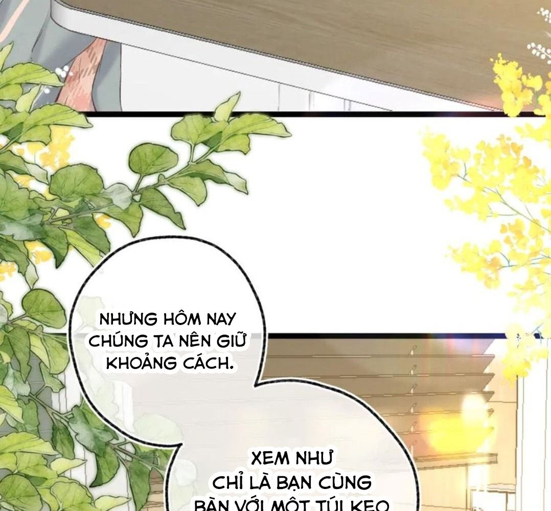 Trong Giấc Mộng Của Tôi: Chapter 80