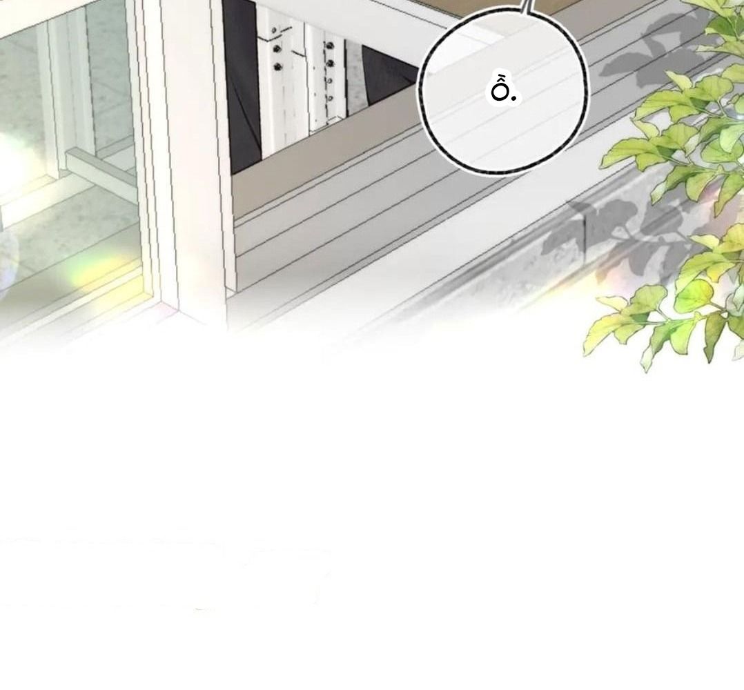 Trong Giấc Mộng Của Tôi: Chapter 80