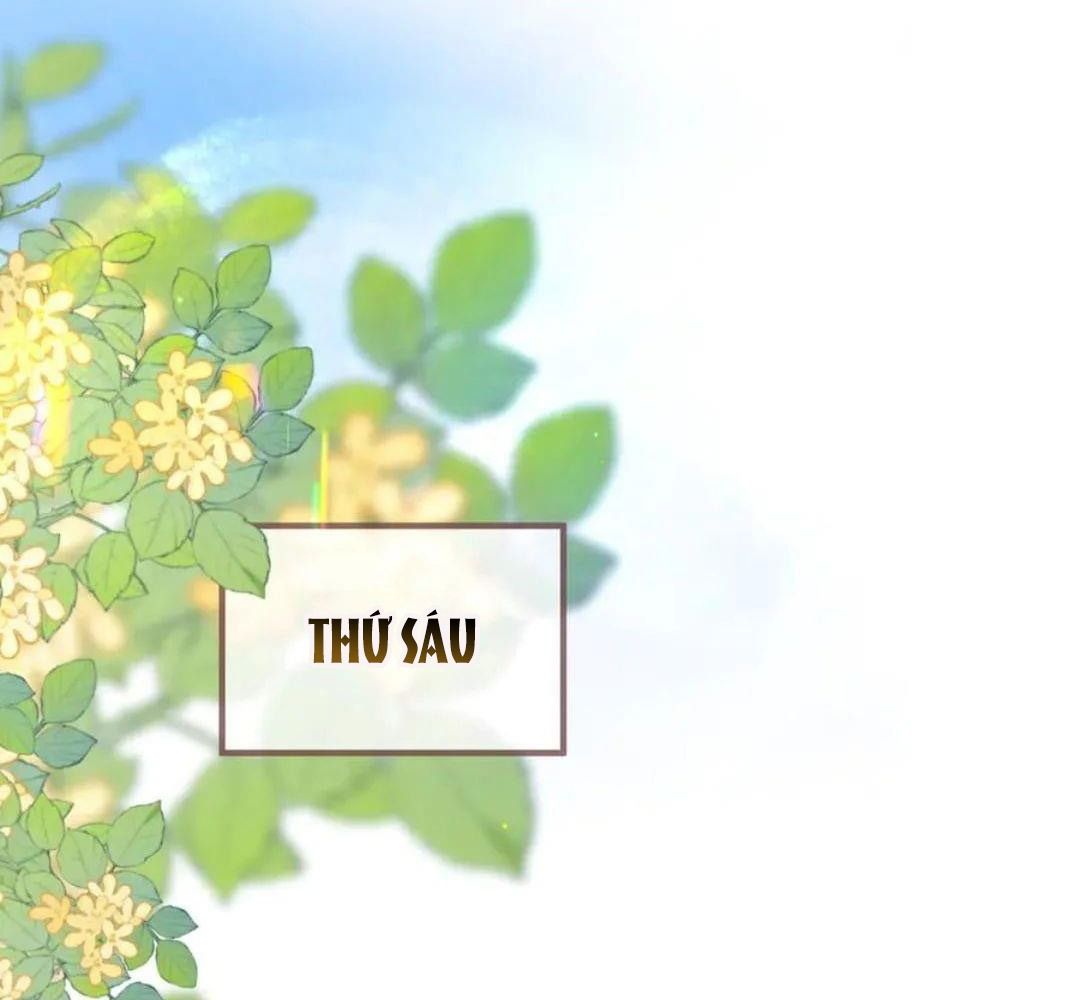 Trong Giấc Mộng Của Tôi: Chapter 81