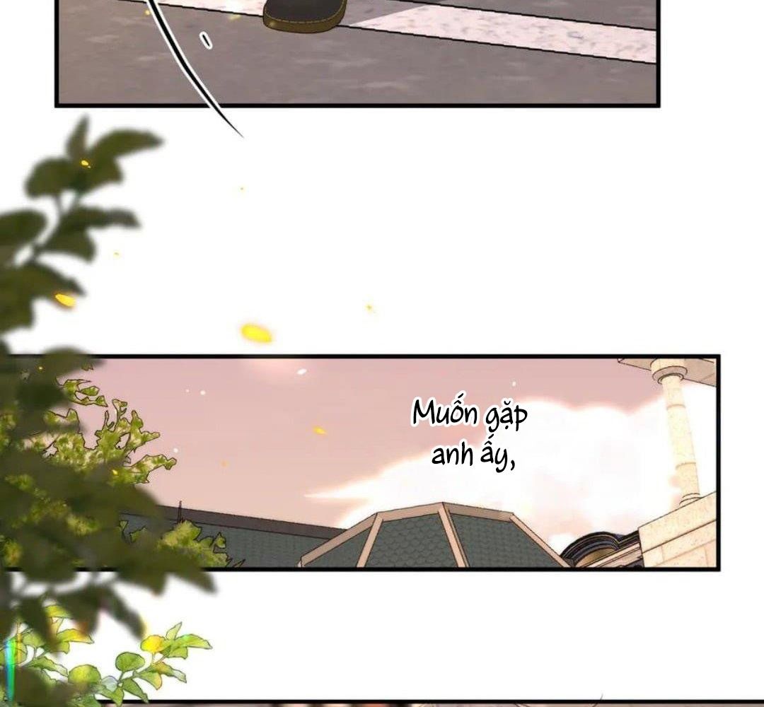 Trong Giấc Mộng Của Tôi: Chapter 83