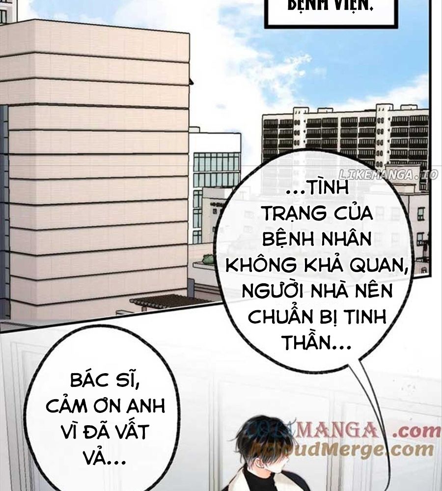 Trong Giấc Mộng Của Tôi: Chapter 87