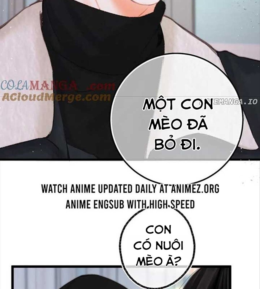 Trong Giấc Mộng Của Tôi: Chapter 87