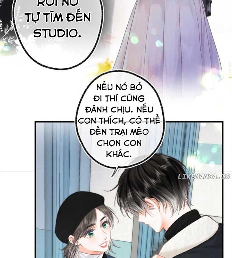 Trong Giấc Mộng Của Tôi: Chapter 87