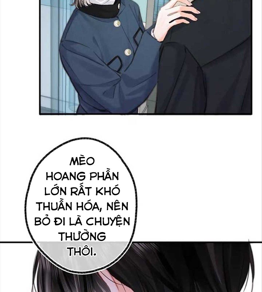 Trong Giấc Mộng Của Tôi: Chapter 87