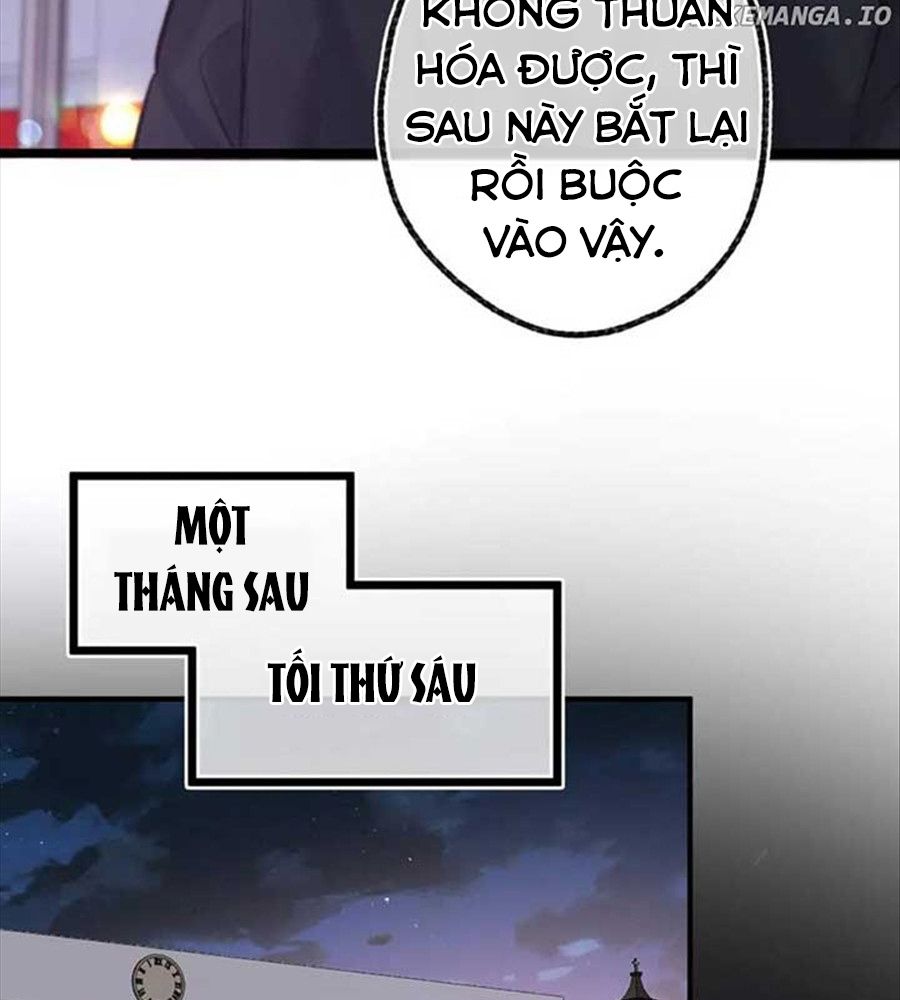 Trong Giấc Mộng Của Tôi: Chapter 87