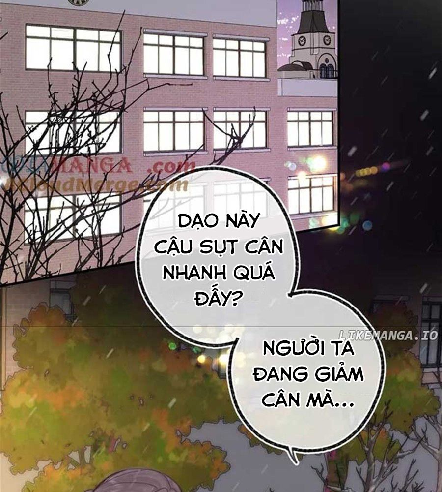 Trong Giấc Mộng Của Tôi: Chapter 87