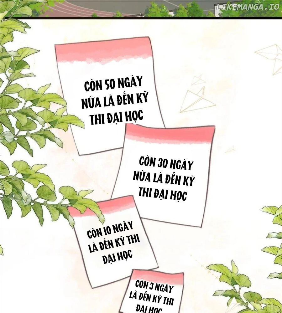 Trong Giấc Mộng Của Tôi: Chapter 89