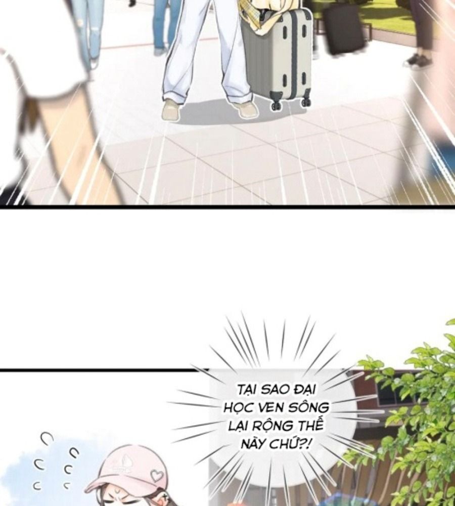 Trong Giấc Mộng Của Tôi: Chapter 91