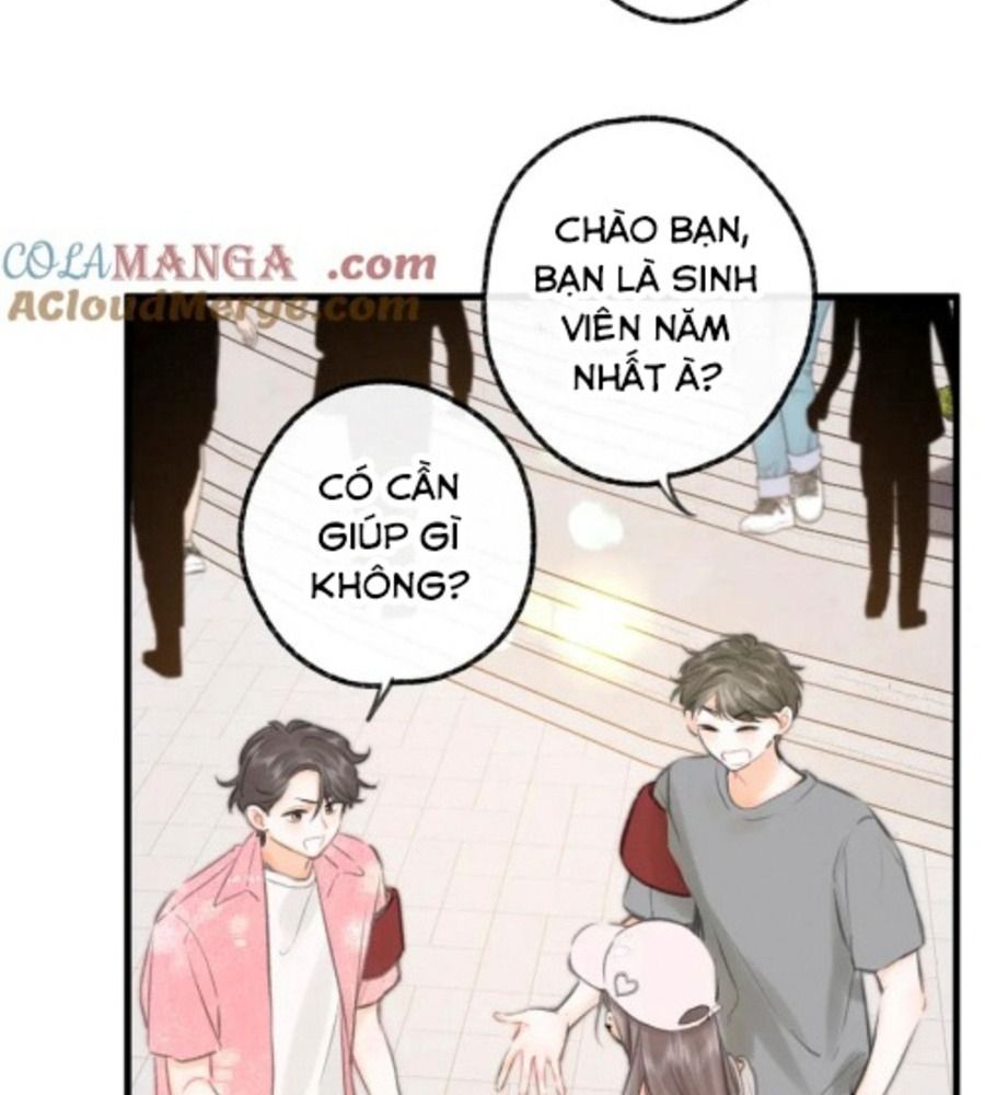 Trong Giấc Mộng Của Tôi: Chapter 91