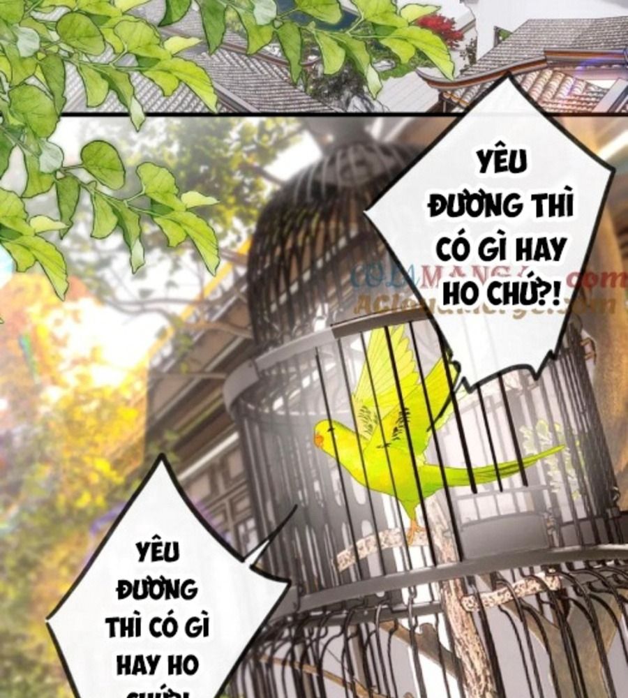 Trong Giấc Mộng Của Tôi: Chapter 91