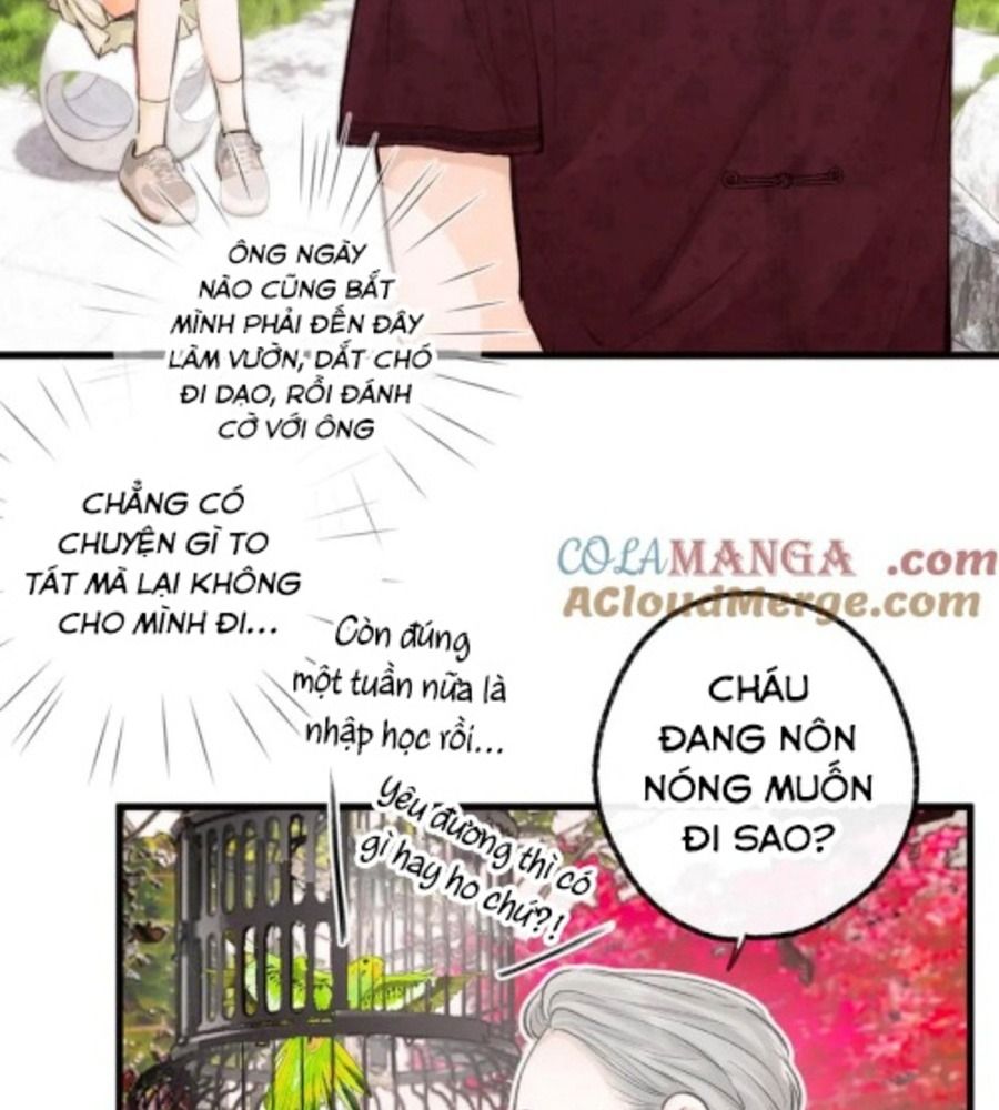Trong Giấc Mộng Của Tôi: Chapter 91