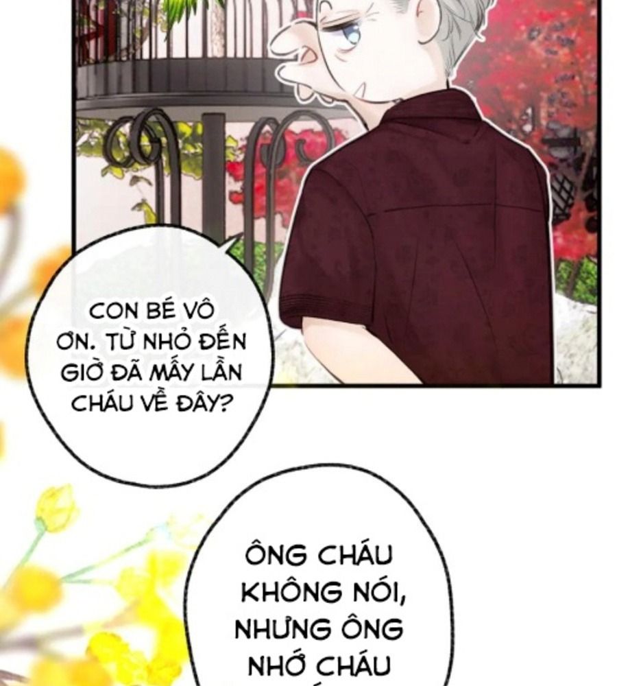Trong Giấc Mộng Của Tôi: Chapter 91