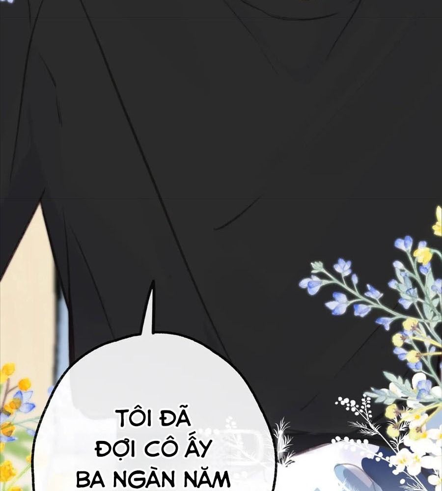 Trong Giấc Mộng Của Tôi: Chapter 95