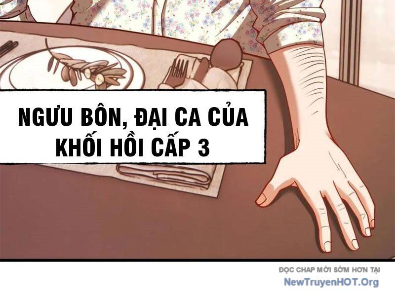 Trọng Sinh Không Làm Chạn Vương, Tôi Một Mình Nạp Game Thăng Cấp: Chapter 243