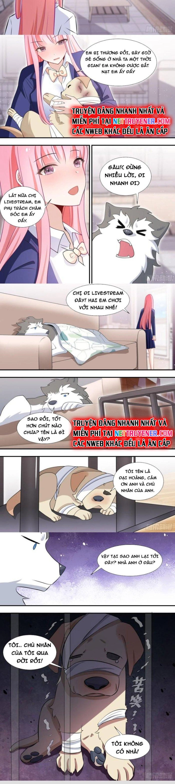 Trọng Sinh Thành Chó Của Nữ Thần: Chapter 126