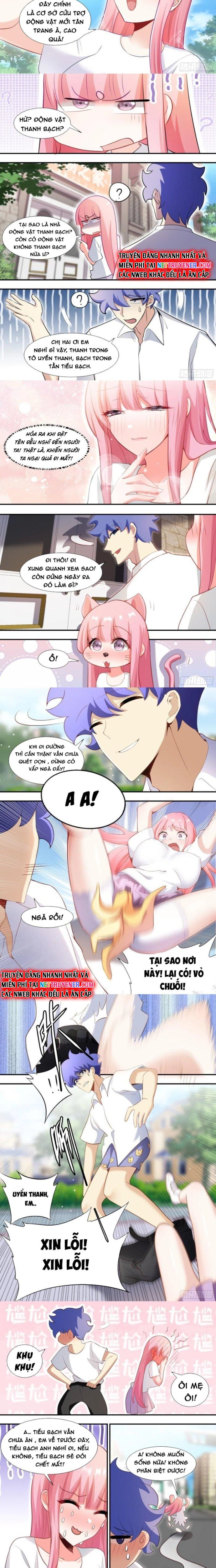 Trọng Sinh Thành Chó Của Nữ Thần: Chapter 145