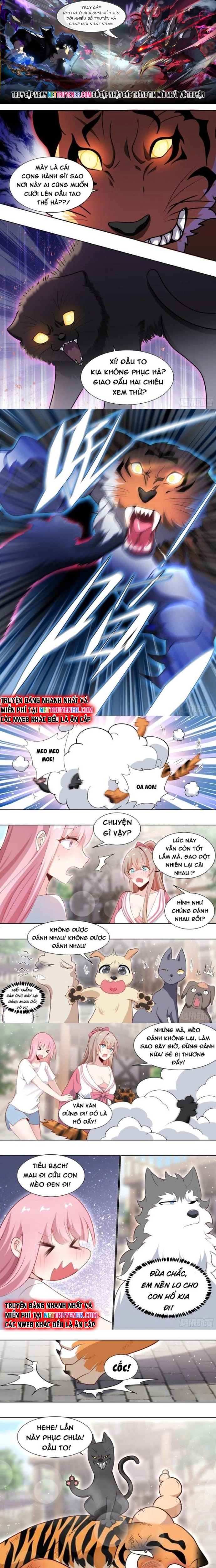 Trọng Sinh Thành Chó Của Nữ Thần: Chapter 161