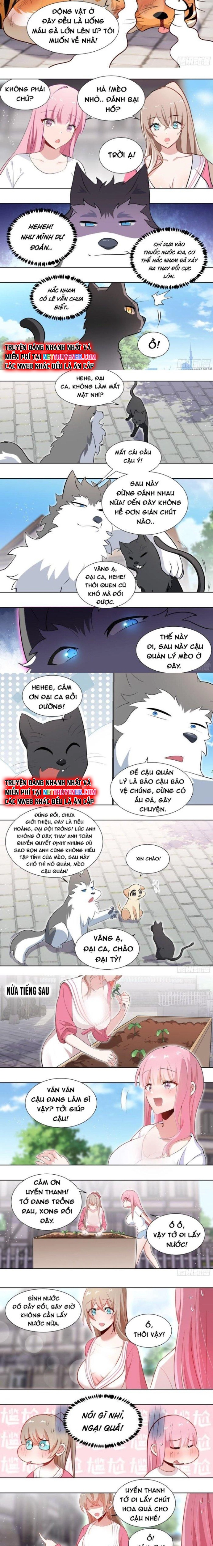 Trọng Sinh Thành Chó Của Nữ Thần: Chapter 161