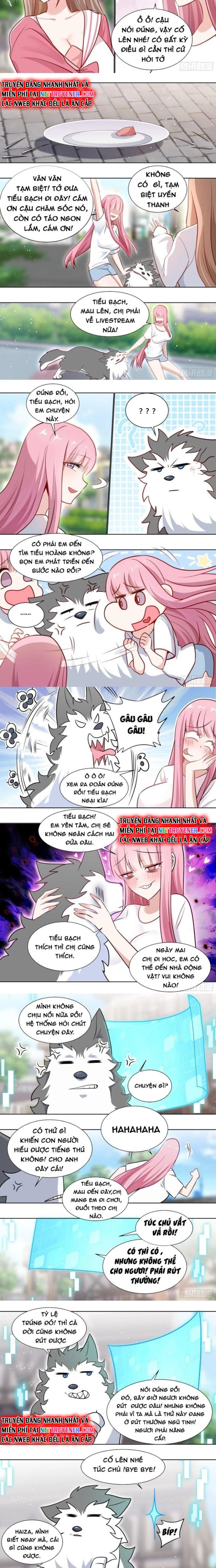 Trọng Sinh Thành Chó Của Nữ Thần: Chapter 162