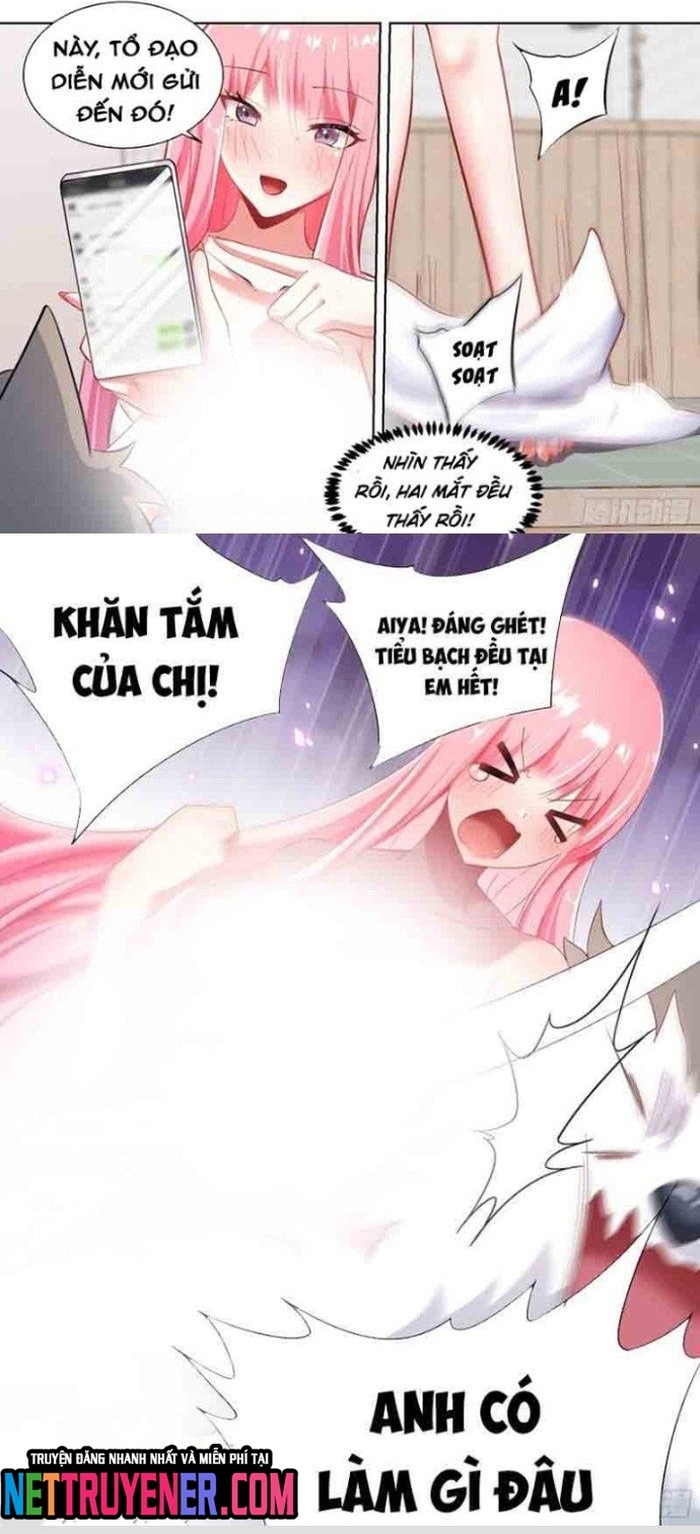 Trọng Sinh Thành Chó Của Nữ Thần: Chapter 177