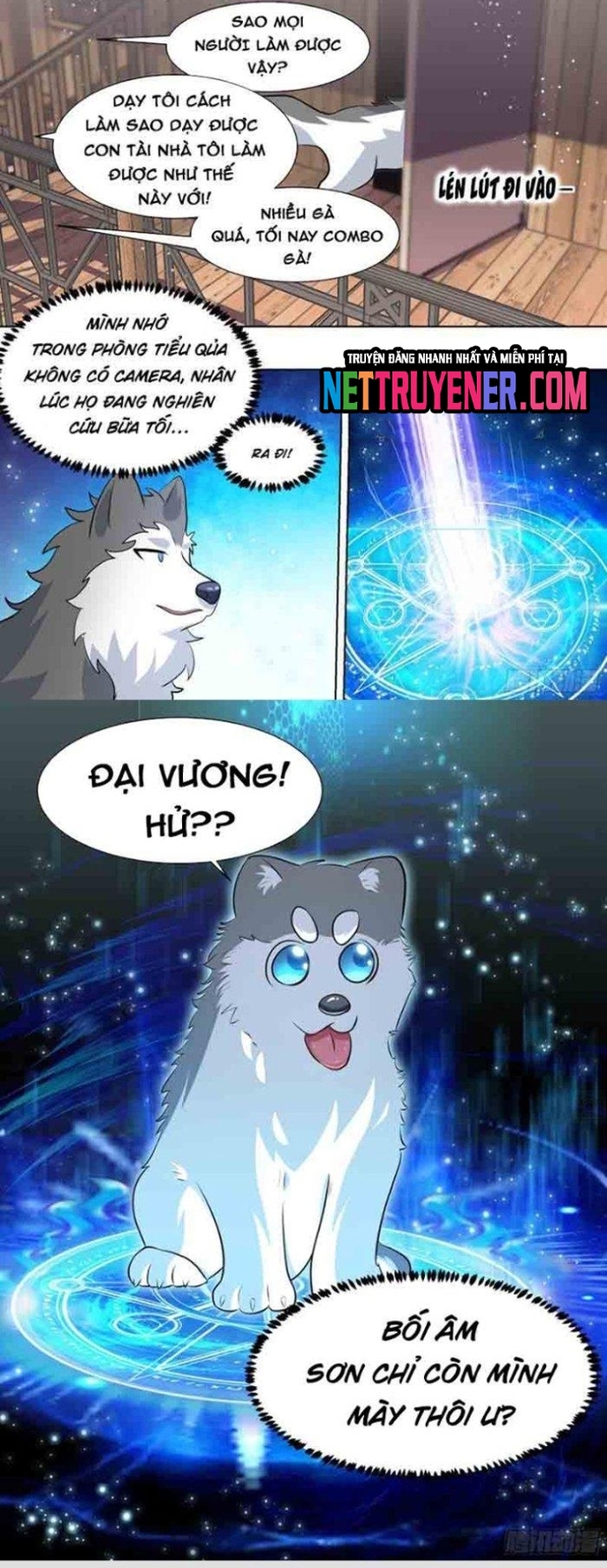 Trọng Sinh Thành Chó Của Nữ Thần: Chapter 181