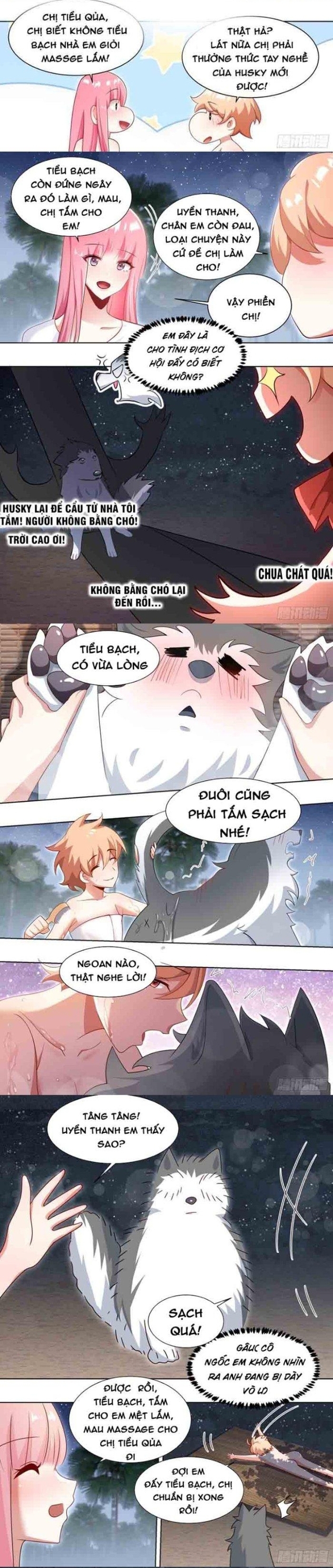 Trọng Sinh Thành Chó Của Nữ Thần: Chapter 186