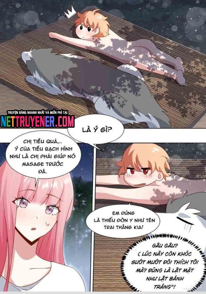 Trọng Sinh Thành Chó Của Nữ Thần: Chapter 186