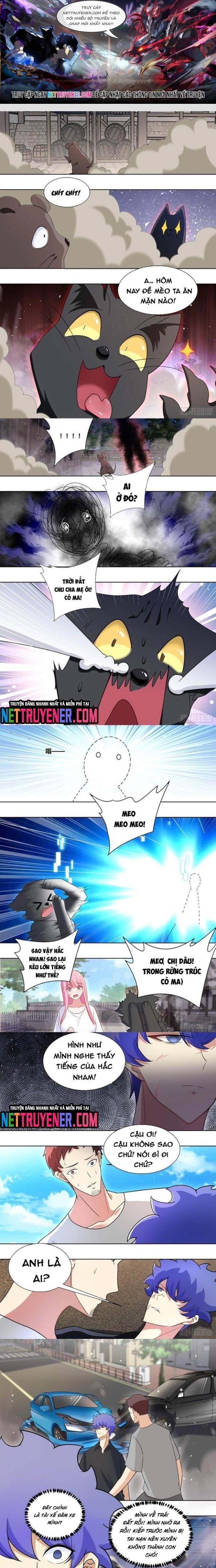 Trọng Sinh Thành Chó Của Nữ Thần: Chapter 209