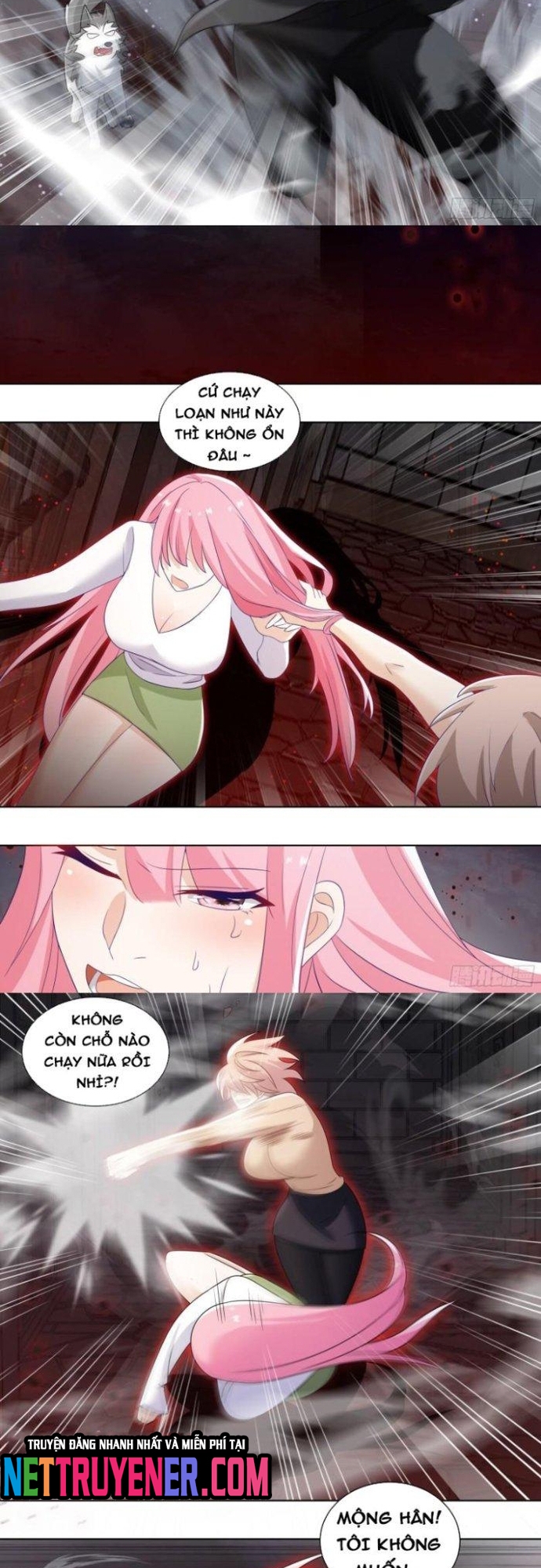 Trọng Sinh Thành Chó Của Nữ Thần: Chapter 239