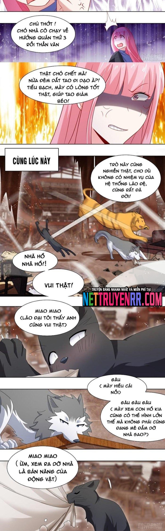 Trọng Sinh Thành Chó Của Nữ Thần: Chapter 259