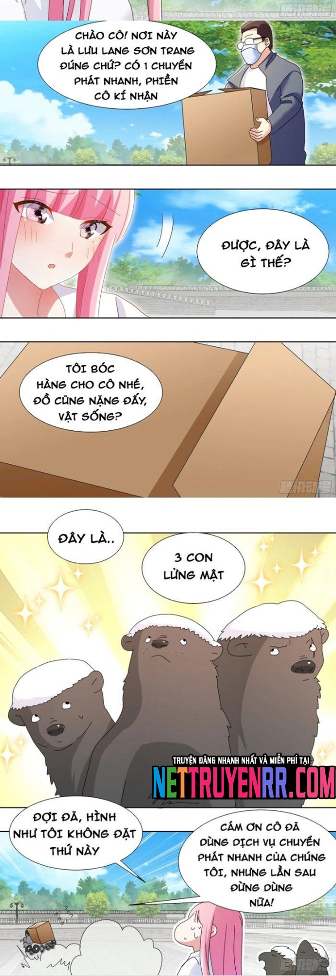 Trọng Sinh Thành Chó Của Nữ Thần: Chapter 264