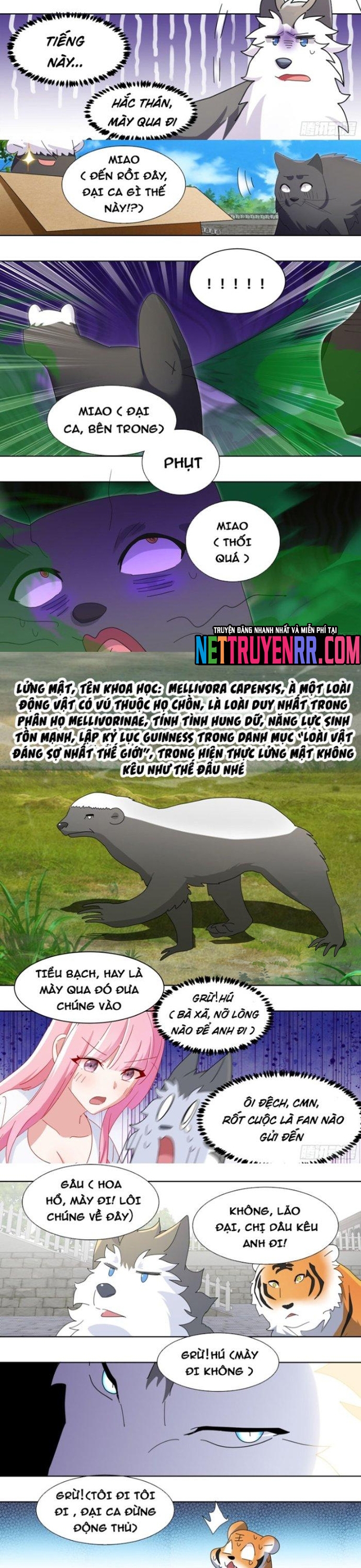 Trọng Sinh Thành Chó Của Nữ Thần: Chapter 265