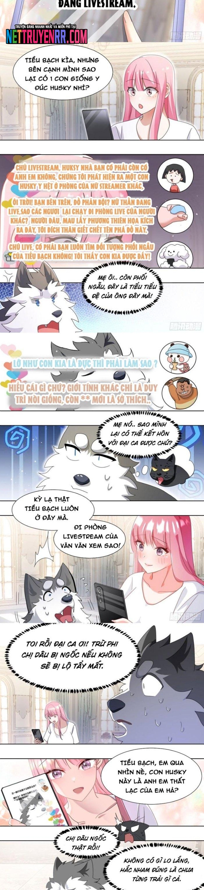 Trọng Sinh Thành Chó Của Nữ Thần: Chapter 269