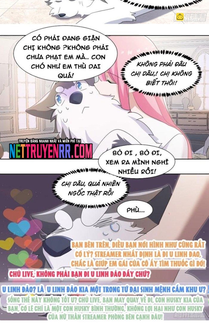 Trọng Sinh Thành Chó Của Nữ Thần: Chapter 269