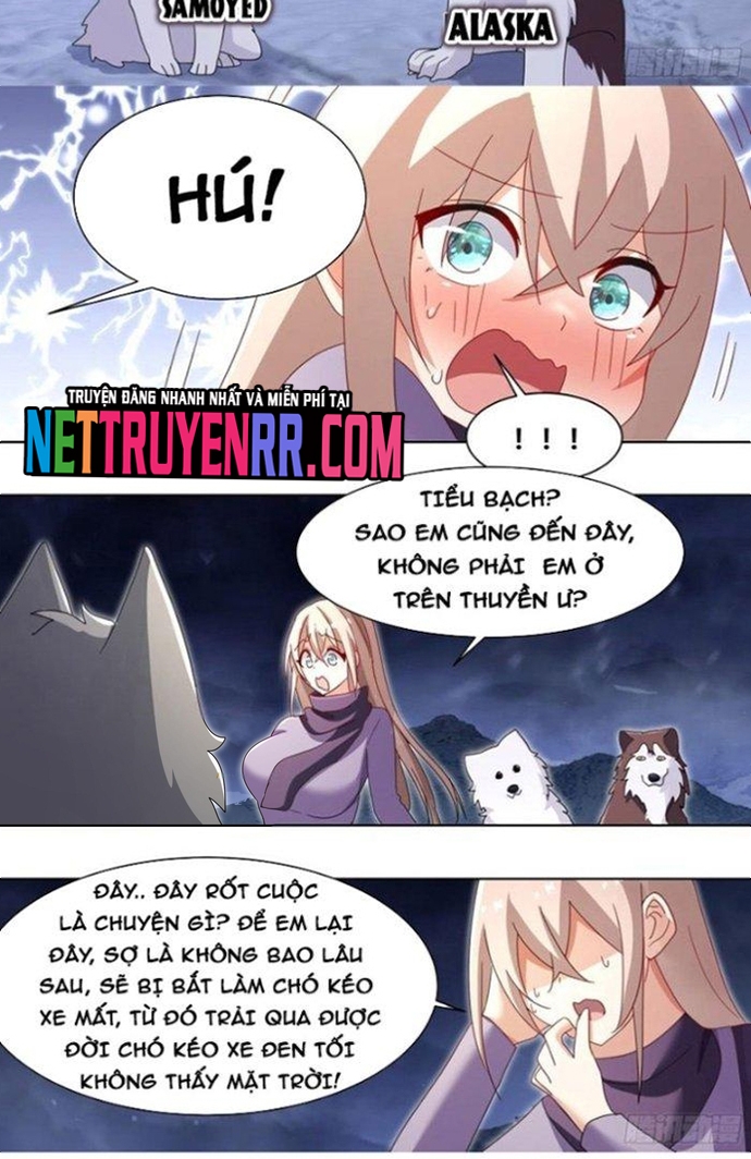 Trọng Sinh Thành Chó Của Nữ Thần: Chapter 270