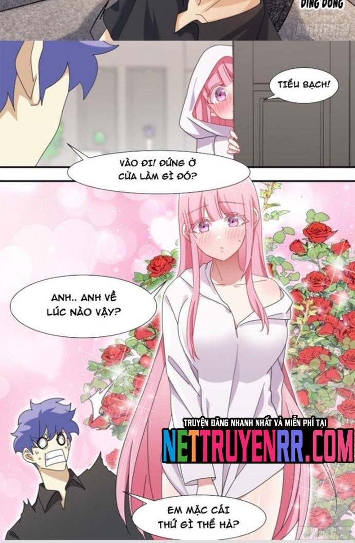 Trọng Sinh Thành Chó Của Nữ Thần: Chapter 284