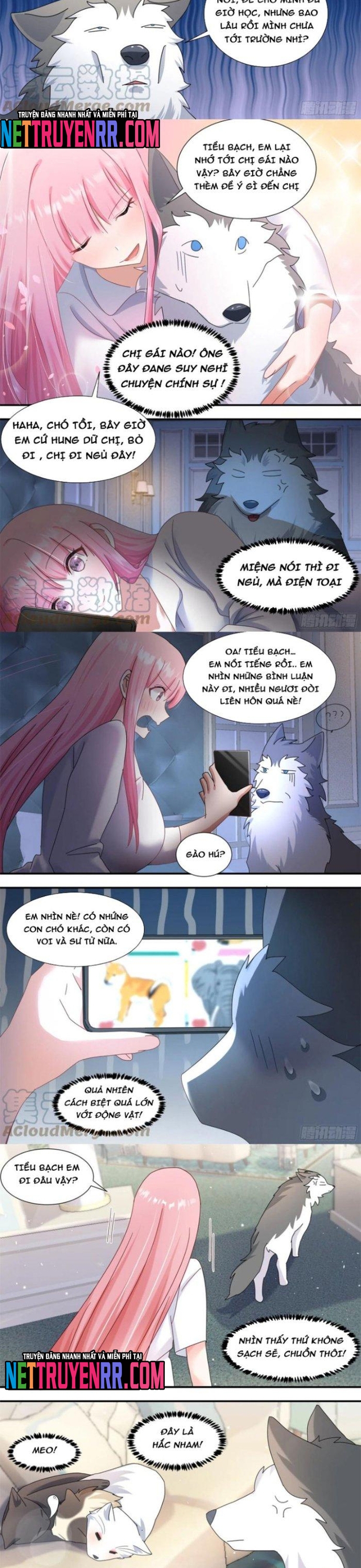 Trọng Sinh Thành Chó Của Nữ Thần: Chapter 289