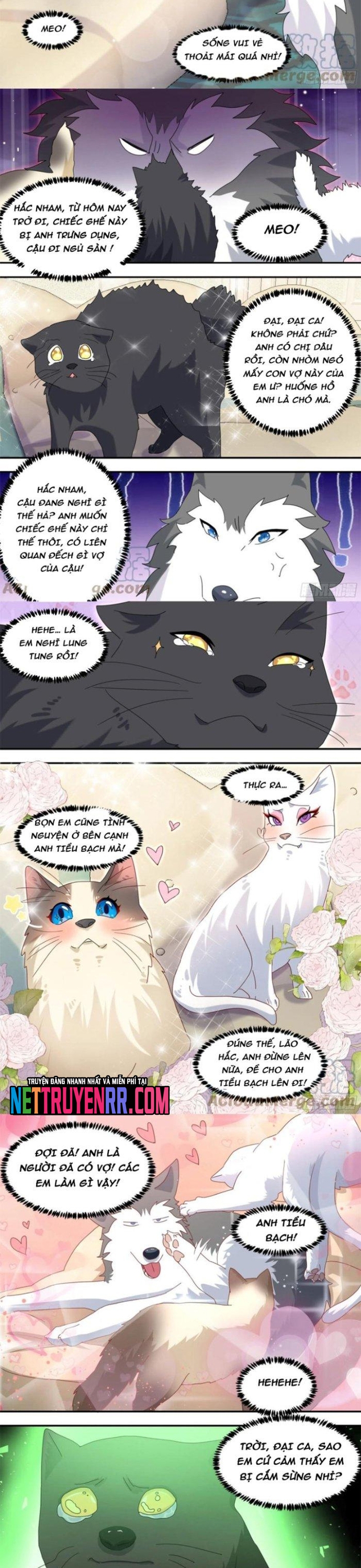 Trọng Sinh Thành Chó Của Nữ Thần: Chapter 289