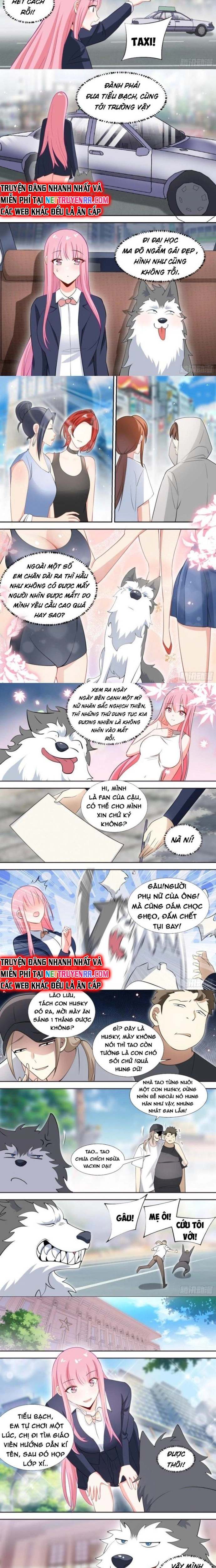 Trọng Sinh Thành Chó Của Nữ Thần: Chapter 87