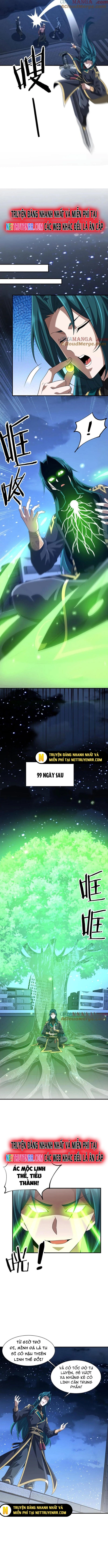 Trùng Sinh Ma Tu:Bắt Đầu Từ Việc Nhặt Được Một Viên Tinh Cầu Zombie: Chapter 30