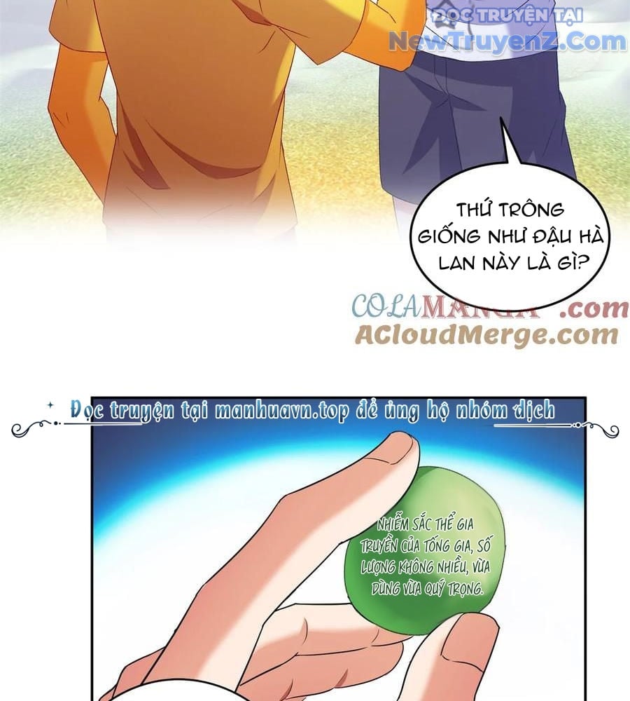 Tu Chân Nói Chuyện Phiếm Quần: Chapter 668