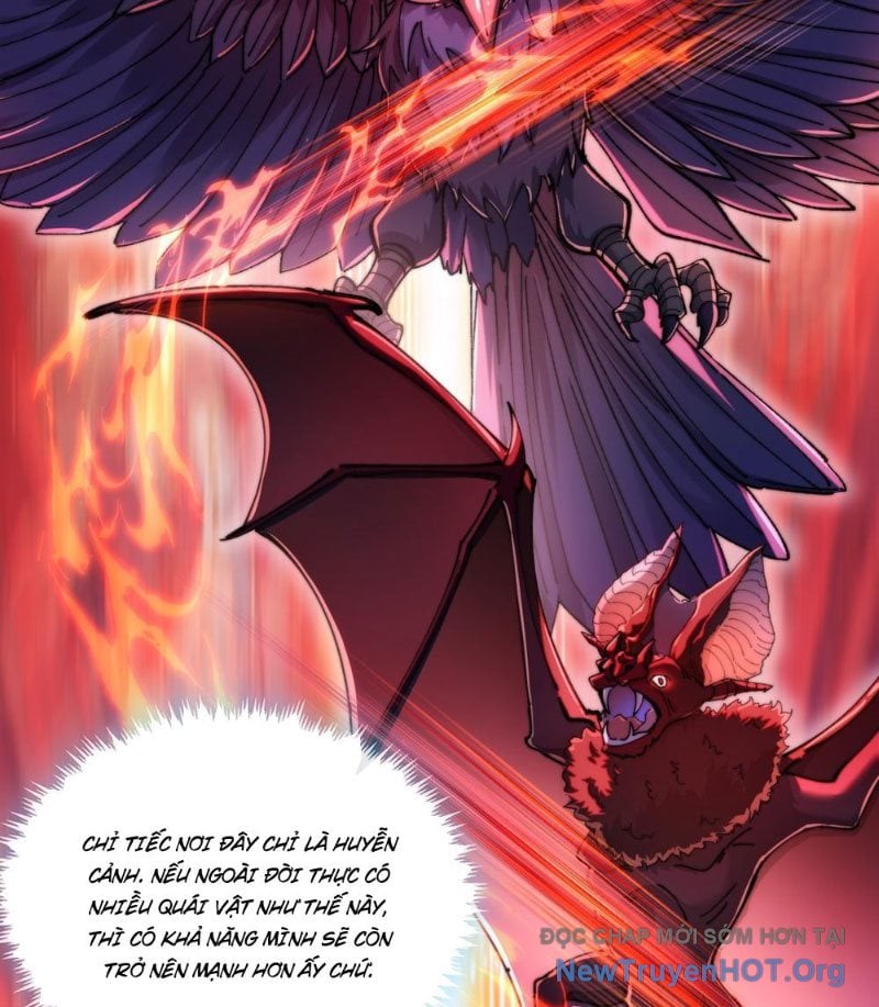 Tu Tiên Thần Tốc: Chapter 5