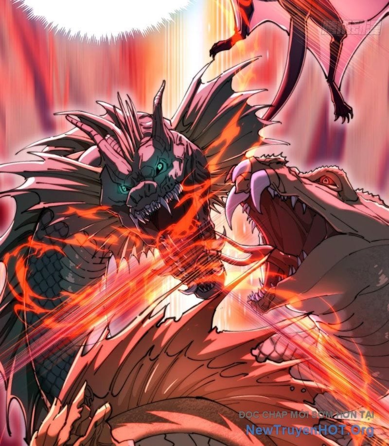 Tu Tiên Thần Tốc: Chapter 5