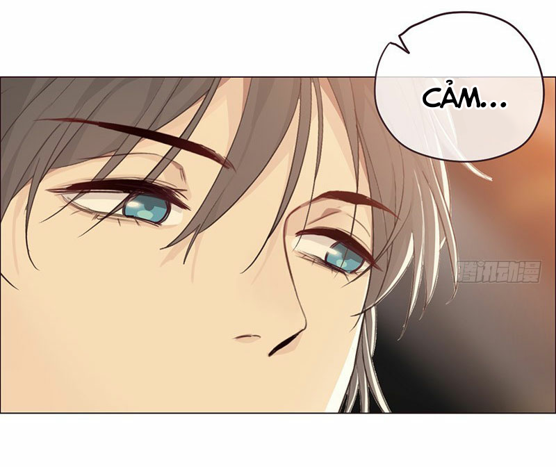 Tương Nhu Dịch Mộc: Chapter 55