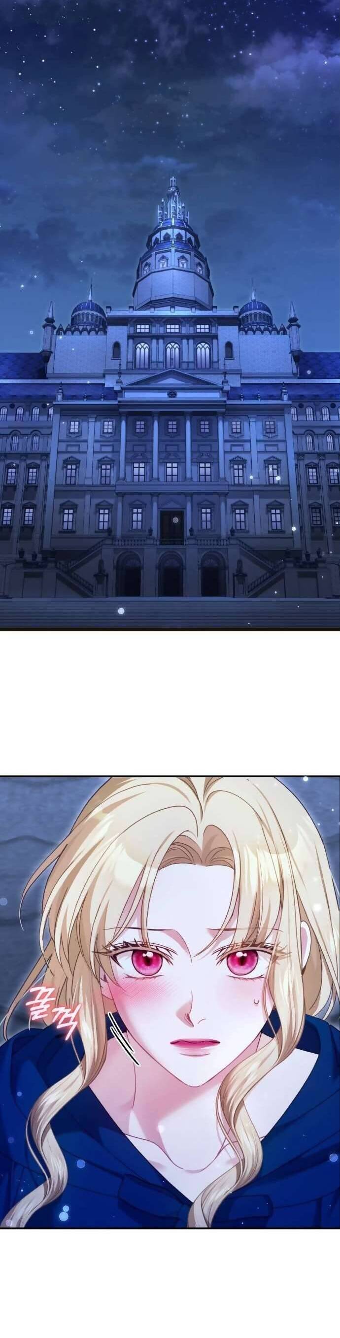 Tuy Là Hoàng Hậu Thay Thế Nhưng Tôi Lại Đánh Mất Đêm Đầu Tiên: Chapter 19