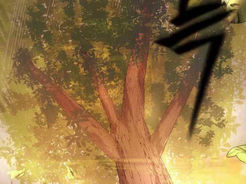 Tuyệt Đỉnh Võ Lâm: Chapter 1.5