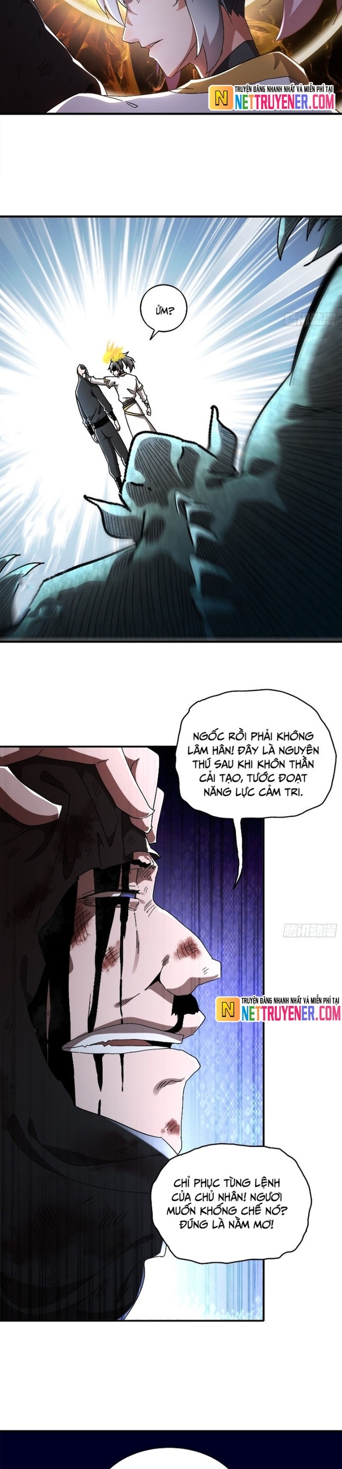 Tuyệt Sắc Đạo Lữ Đều Nói Ngô Hoàng Thể Chất Vô Địch: Chapter 384